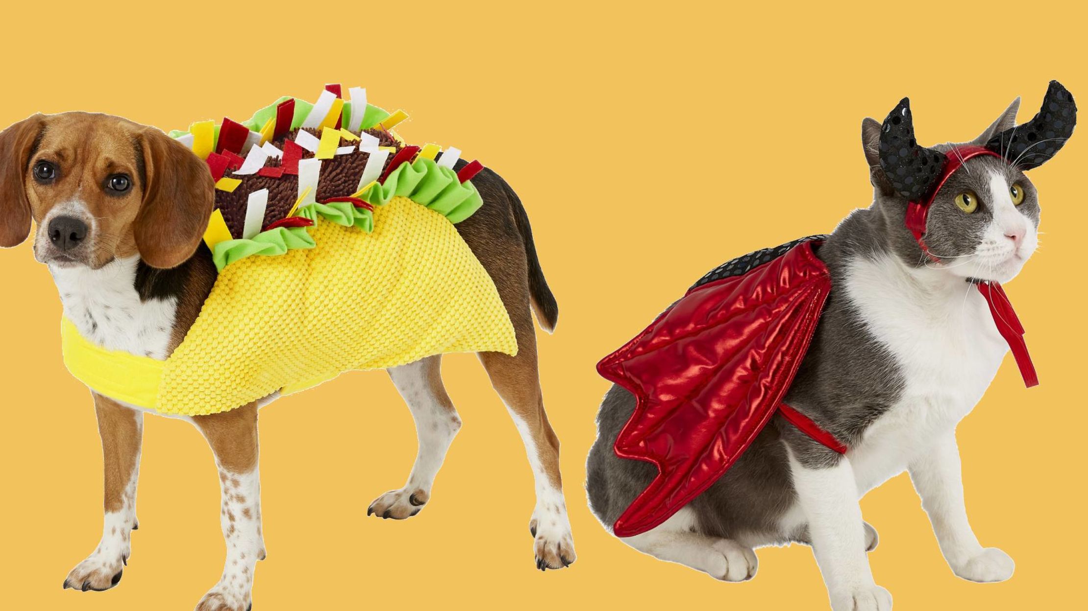 25 Awesome Pet Halloween Costumes You Can Buy Right Now