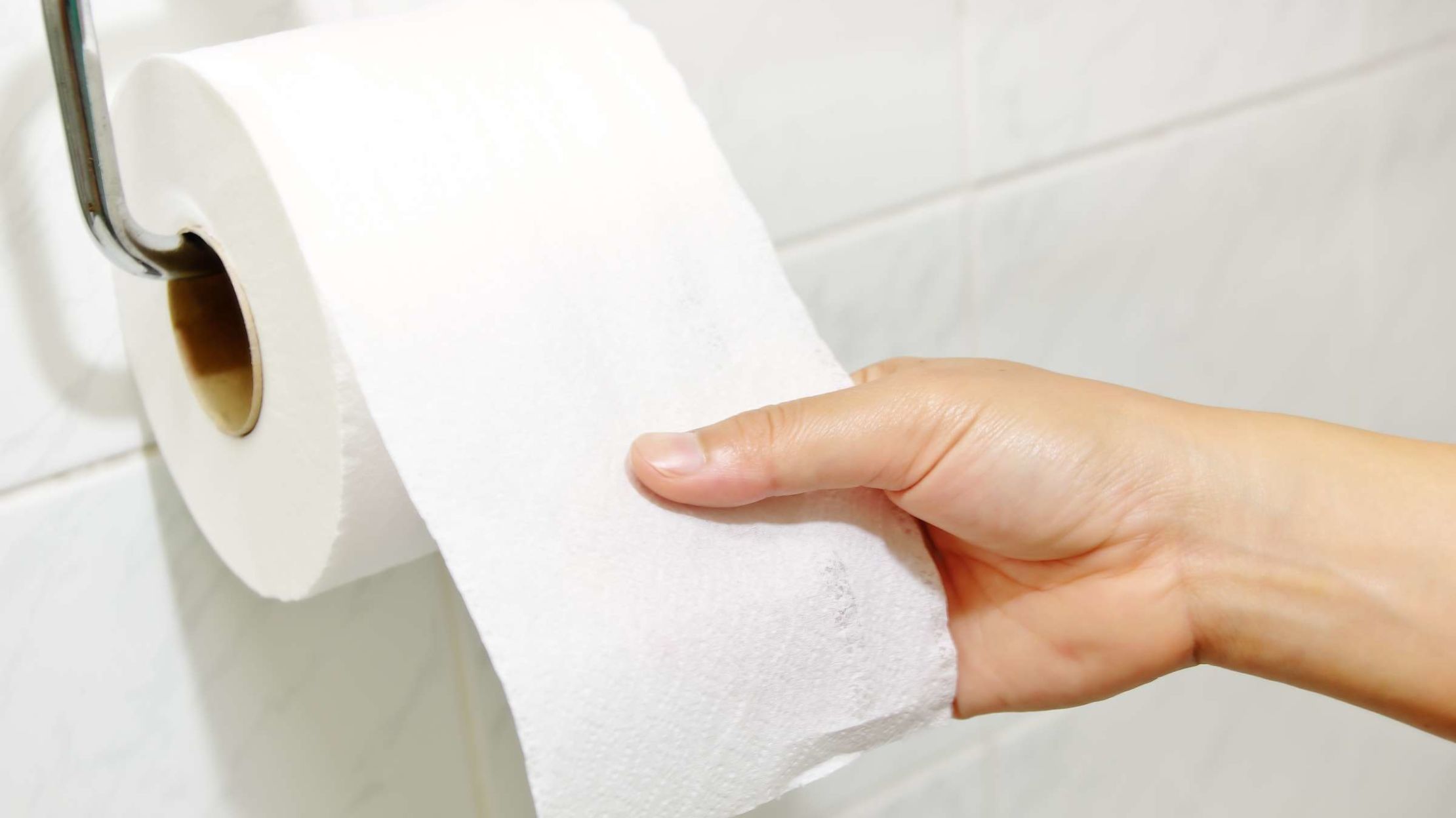 What Did People Use Before Toilet Paper? | Mental Floss