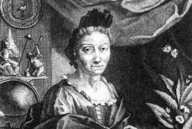 Jacobus Houbraken via Wikimedia Commons // Public Domain