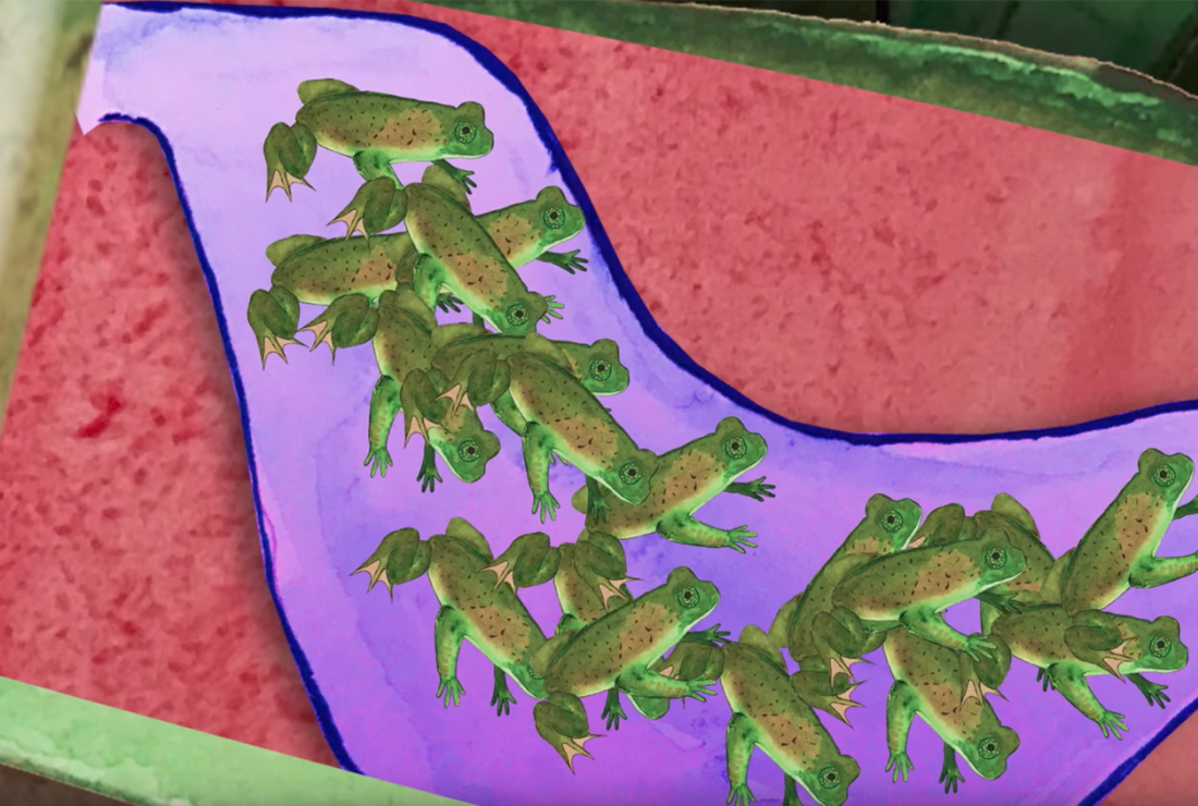 Why Scientists Tried To Bring Extinct Baby Belching Frogs Back To Life Mental Floss