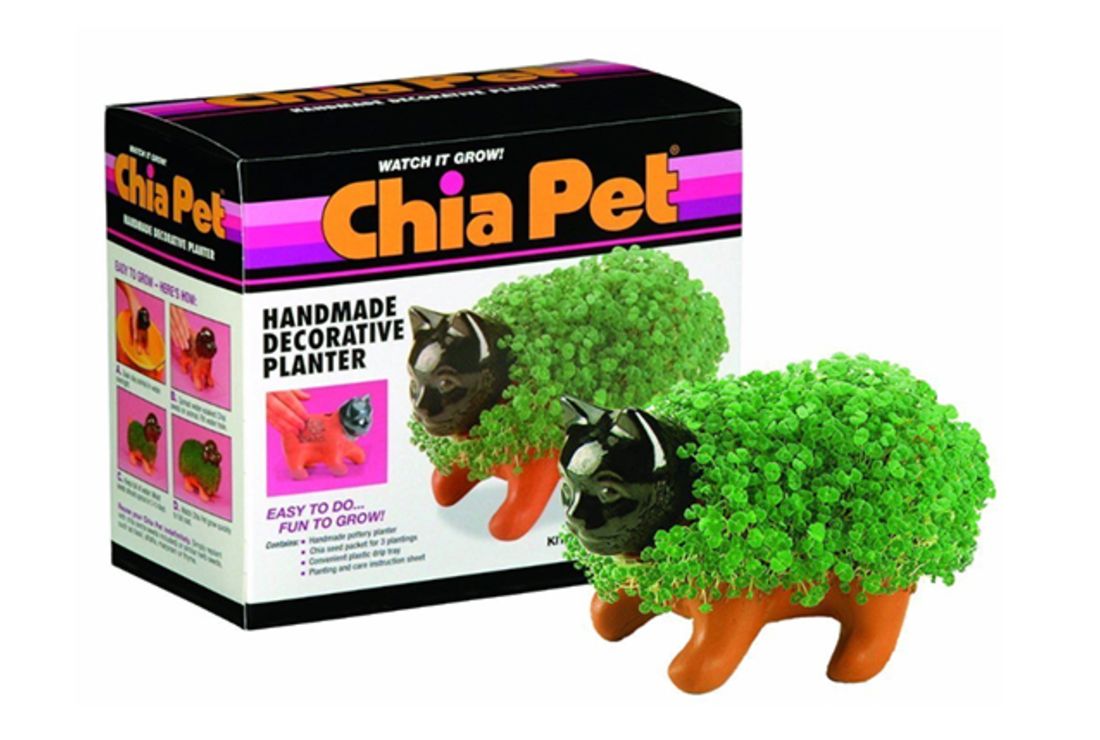 9 Nostalgic Facts About Chia Pets Mental Floss