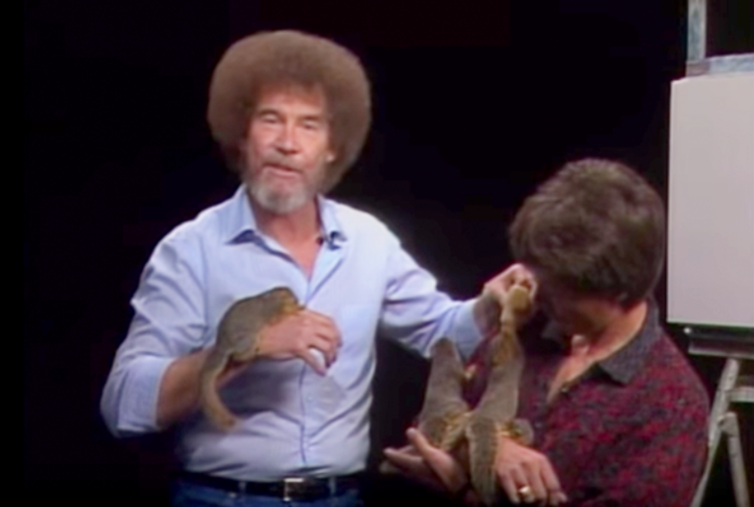 10 Members Of Bob Ross S Happy Little Menagerie Mental Floss