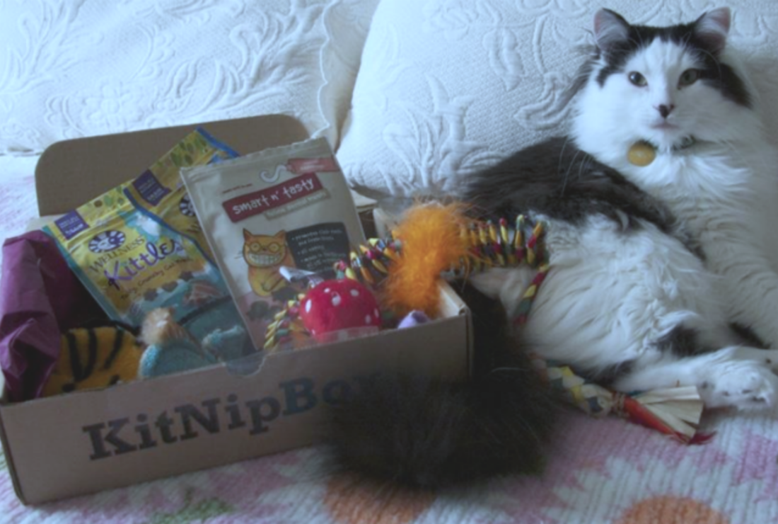 sportmix wholesome fish meal and rice formula dry dog food