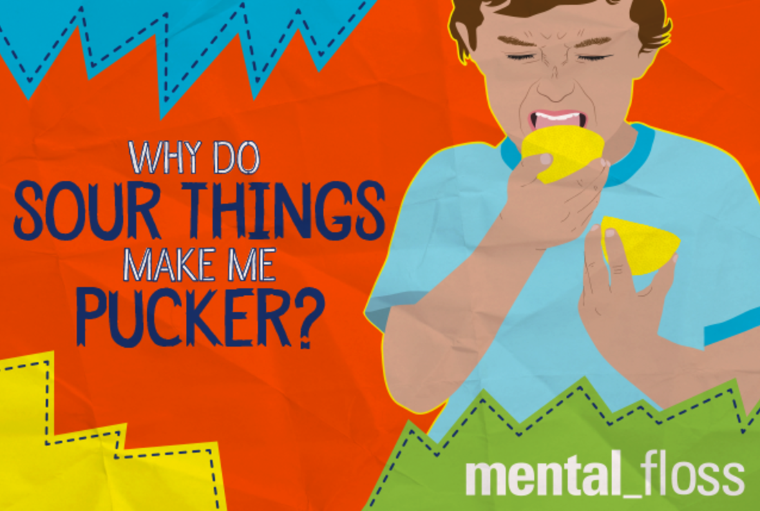 Why Do Sour Things Make Me Pucker Mental Floss