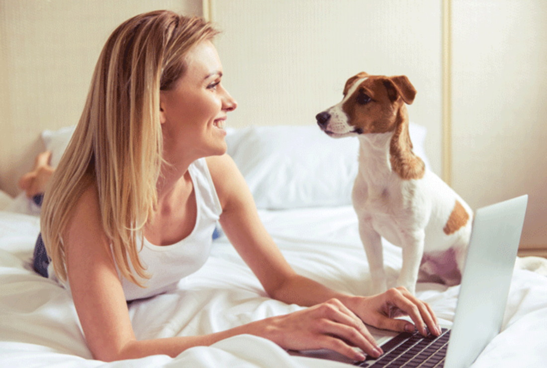 houses for rent that accepts dogs