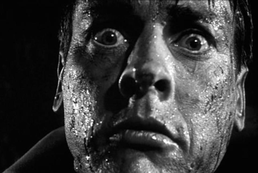 10 Facts About Invasion Of The Body Snatchers Mental Floss A decade after the summer of love, invasion of the body snatchers essentially weaponized flower power, hinting that the erosion of individual consciousness in favor of groupthink was as natural and ingrained as photosynthesis itself. invasion of the body snatchers