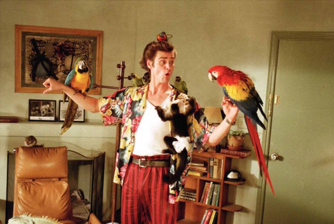 watch ace ventura when nature calls