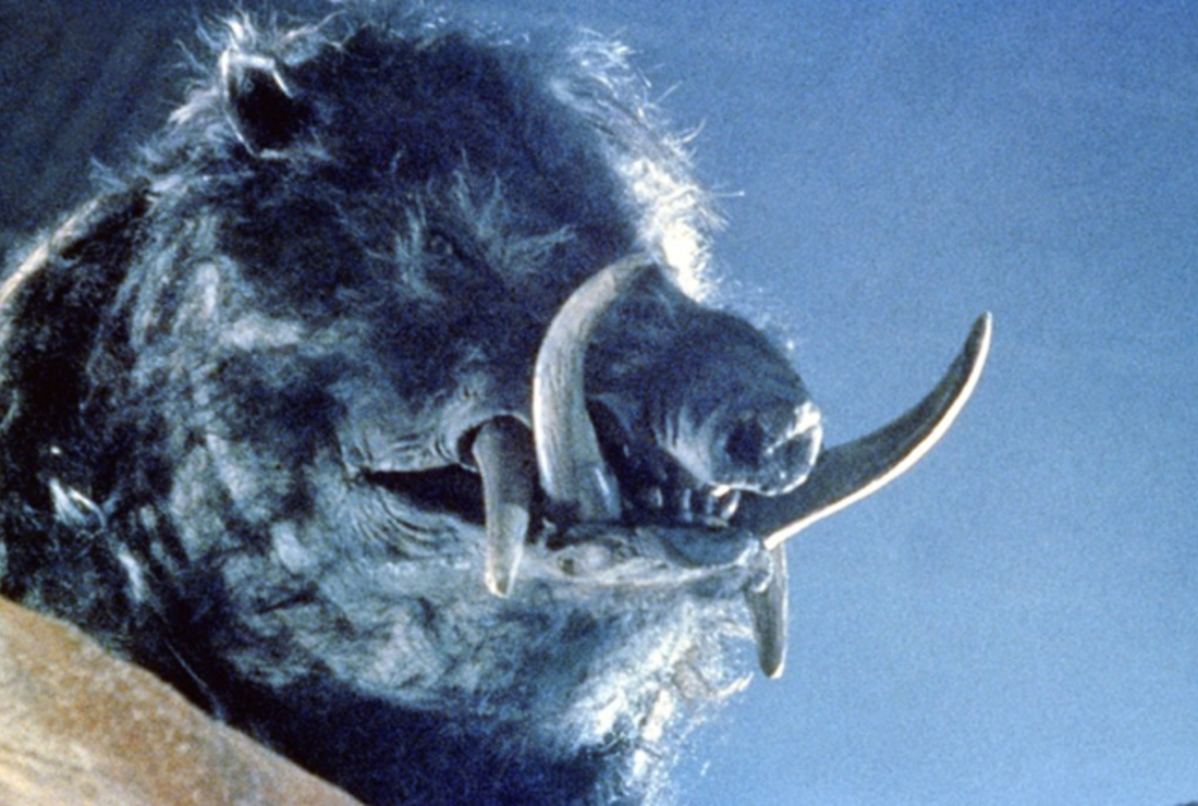 10 Animal Attack Movies That Are Actually Scary Mental Floss