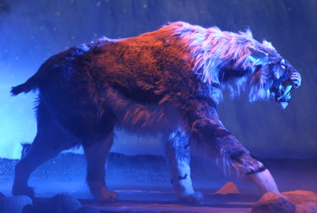 8 Prehistoric Saber Toothed Animals Mental Floss