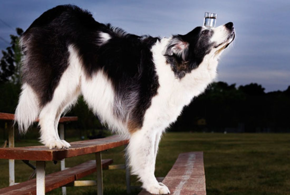11 Really Bizarre World Records Mental Floss 11 Really Bizarre World Records Mental Floss