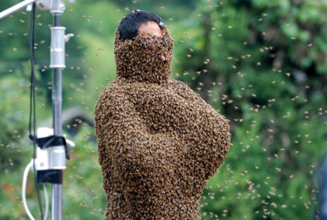 How To Get Thousands Of Bees To Land On You In A Beard Like Fashion Mental Floss