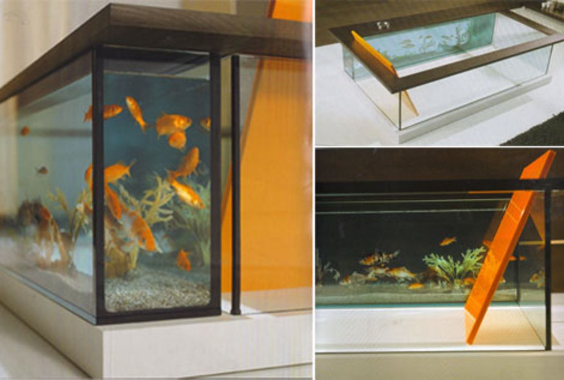 12 Wild and Wondrous Aquariums  Mental Floss
