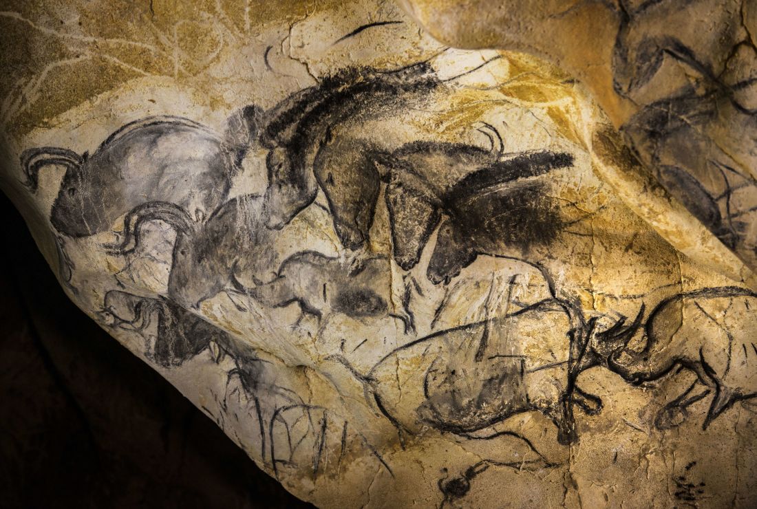 13 Facts About The Chauvet Cave Paintings Mental Floss