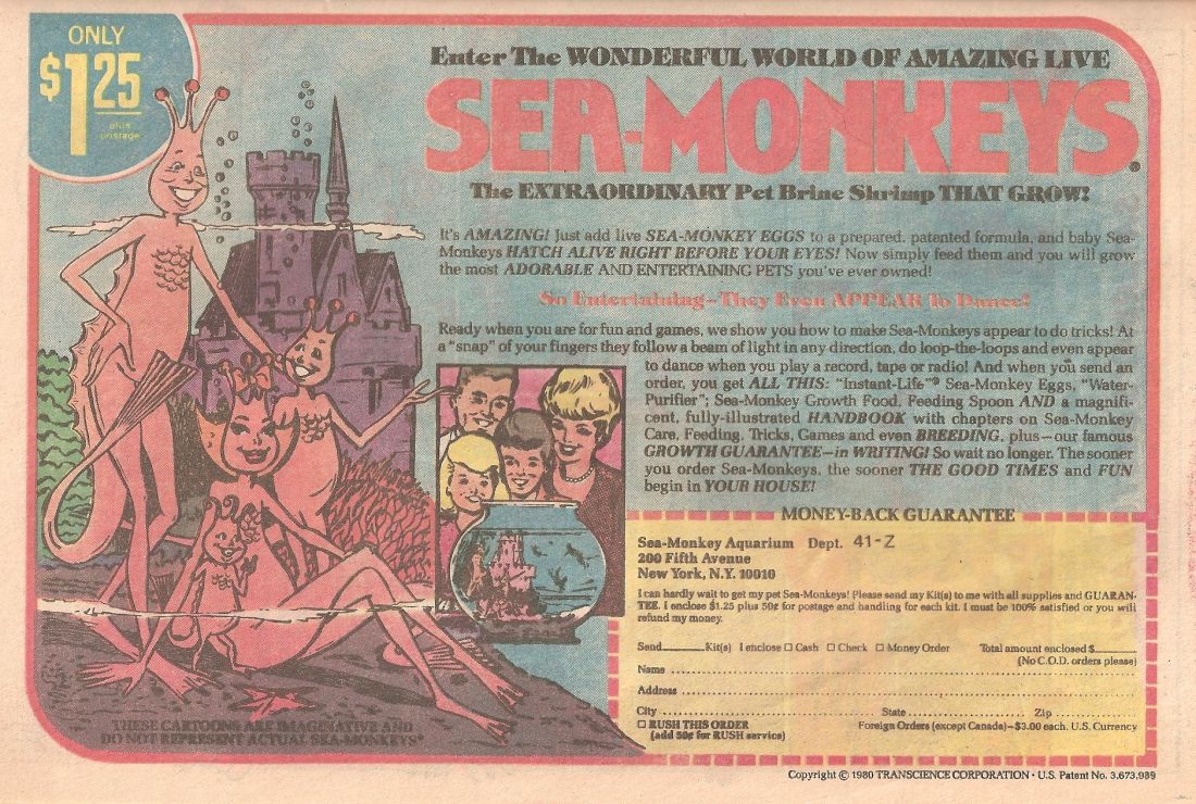 16 Amazing Facts About Sea Monkeys Mental Floss 16 Amazing Facts About Sea Monkeys Mental Floss