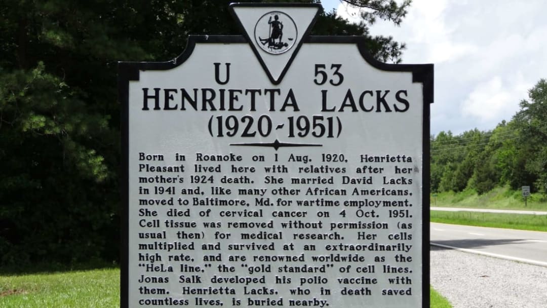 A historical marker in Clover, Virginia, honors Henrietta Lacks.