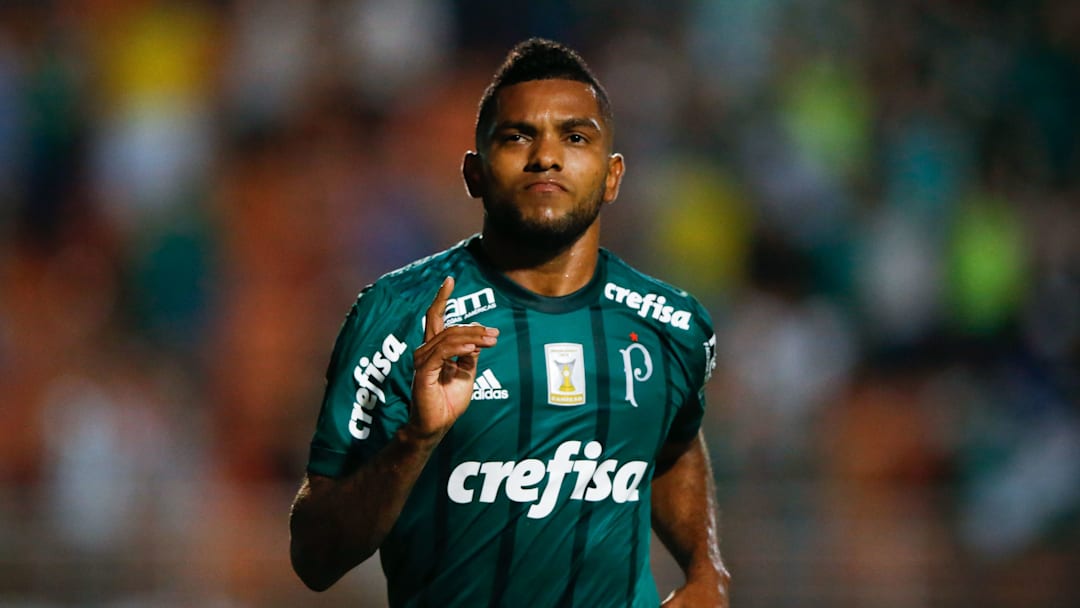 Palmeiras v Ponte Preta - Brasileirao Series A 2017
