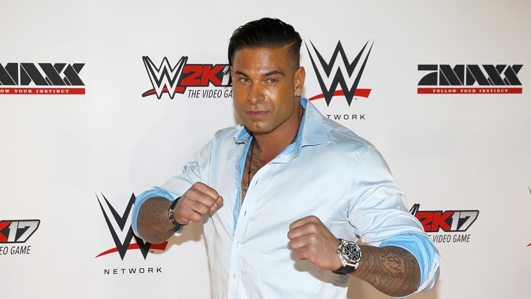 Goalkeeper Tim Wiese opened the forbidden door in the 2010s Goalkeeper Tim Wiese opened the forbidden door in the 2010s