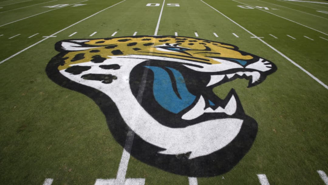 JACKSONVILLE, FL - OCTOBER 15: A general of the Jacksonville Jaguars Logo at mid-field before the Jacksonville Jaguars host the Los Angeles Rams at EverBank Field on October 15, 2017 in Jacksonville, Florida. (Photo by Don Juan Moore/Getty Images)