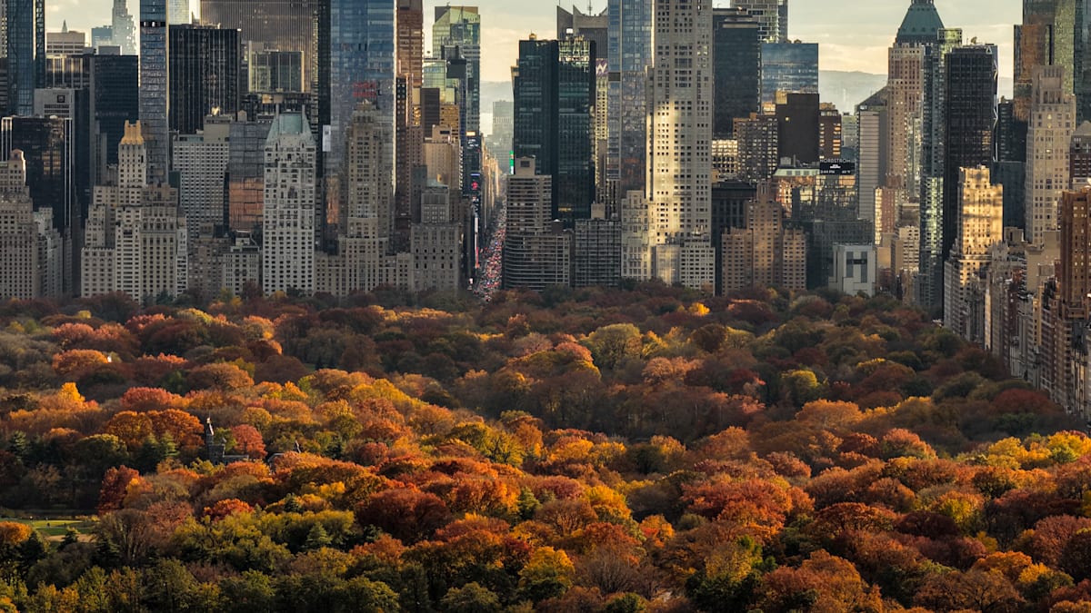 New York City NYC At Sunset Skyscrapers Silhouette — Free Mac or PC  Wallpaper (4K/HD) | 2026, image size:1200x675