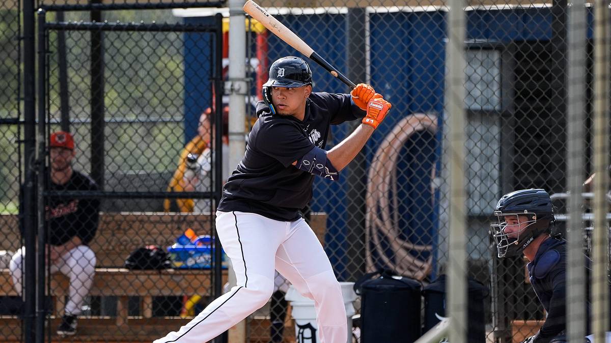 Power Potential of Detroit Tigers Star Prospect Deemed 'A Rarity