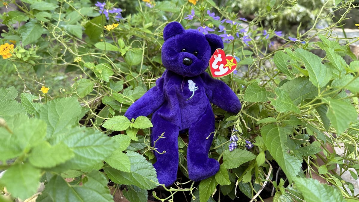 Princess diana beanie baby clearance