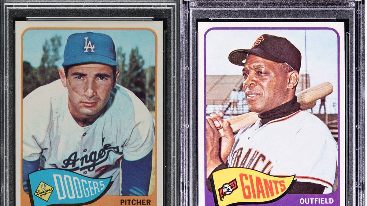 graded card box 5-Row Blue Graded Card Case