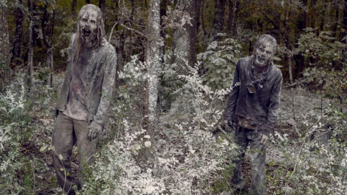ウォーキング・デッド ◆Season 1～10◆ Amazon.com: The Walking Dead The Complete Seasons 1-10