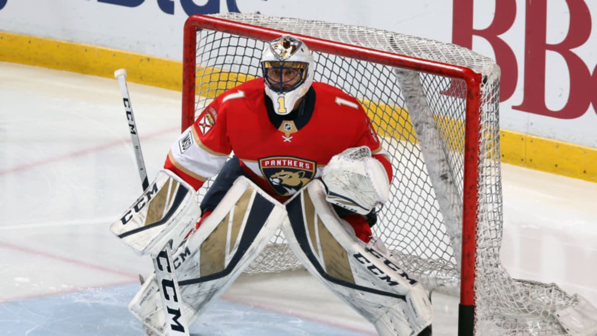 Florida panthers luongo jersey online