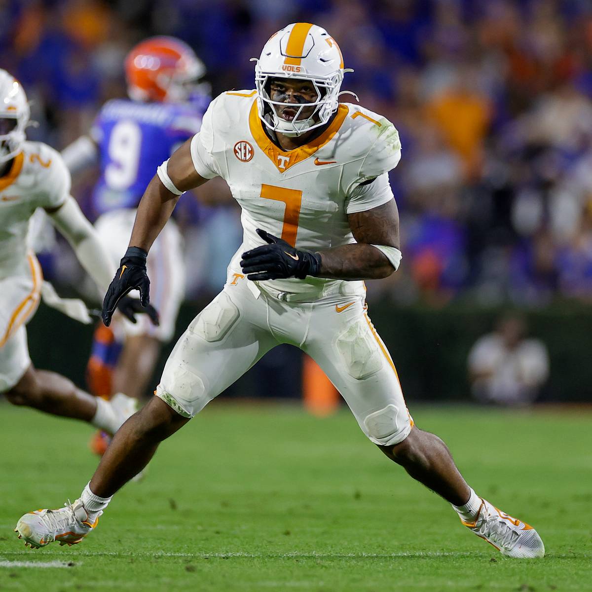 Image for All for Tennessee fan reaction