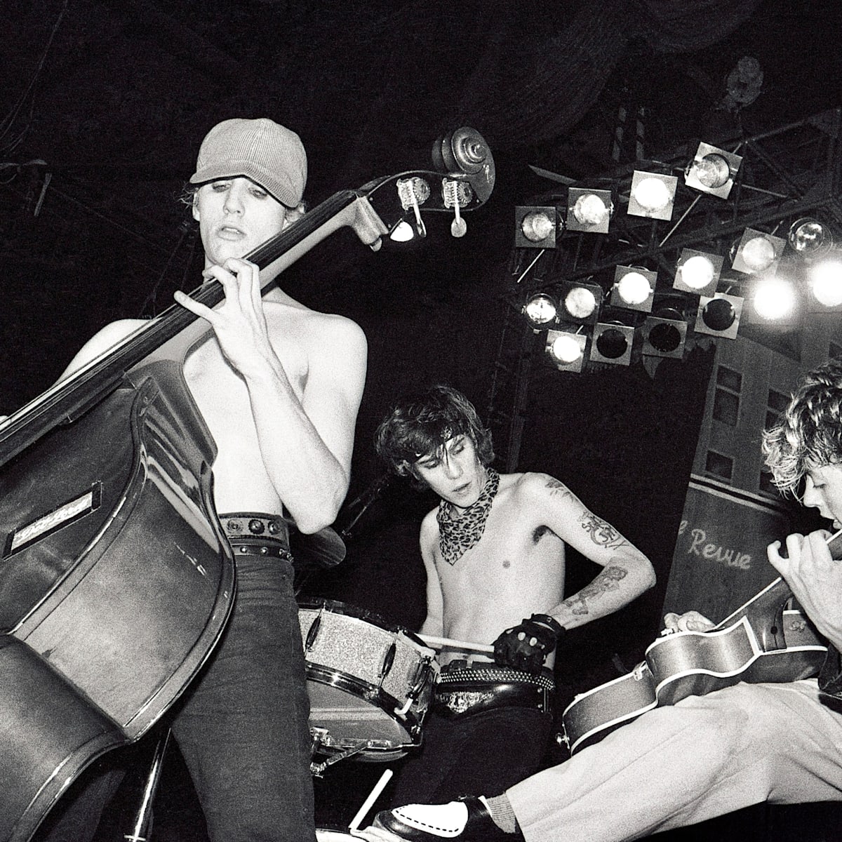 Ten purrfect songs about cats