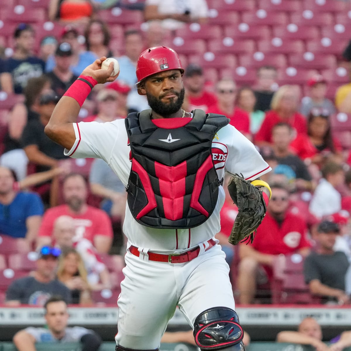 Chuckie Robinson has yet to distinguish himself from the other Reds catchers