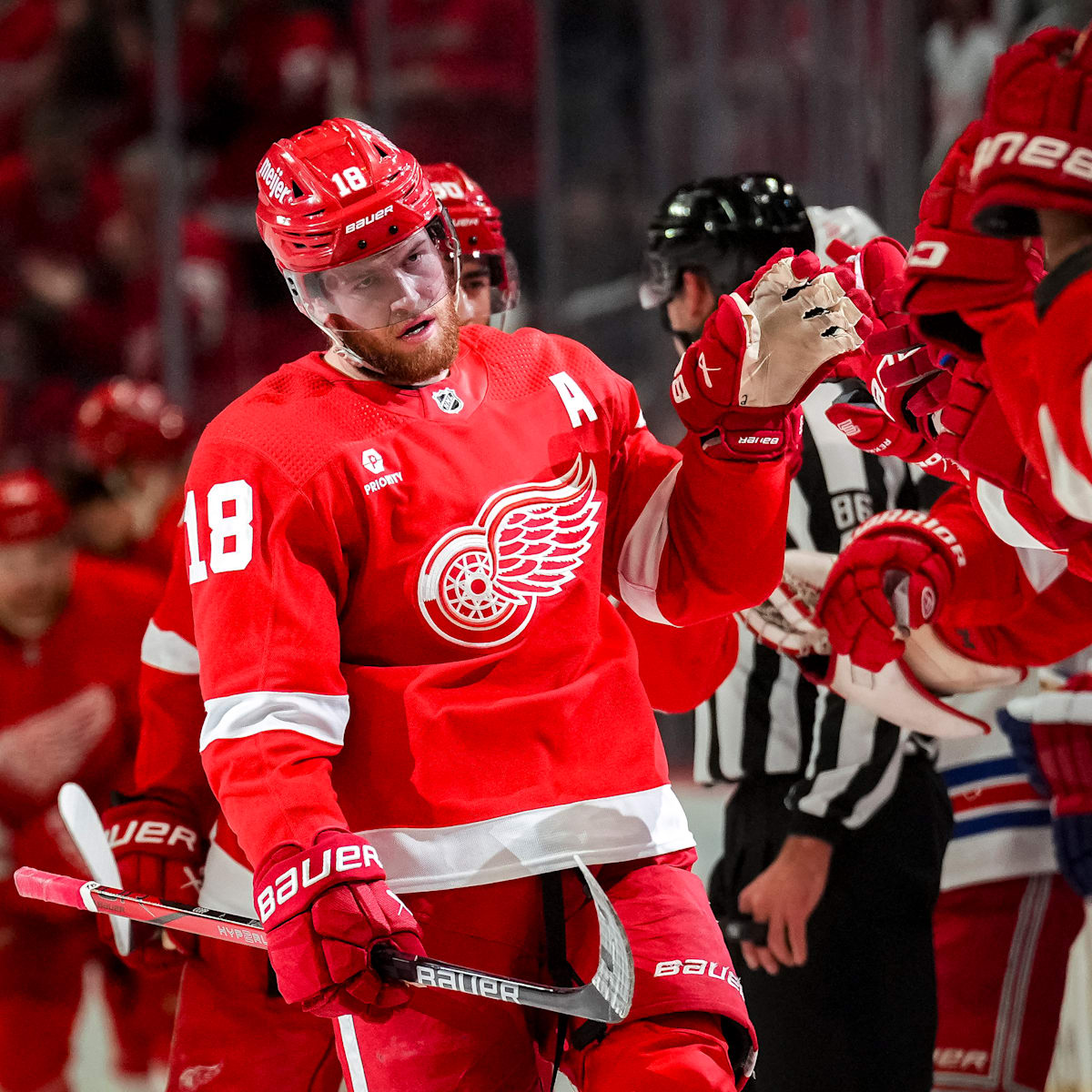 Grading every 2023 24 Detroit Red Wing Part 1 Forwards