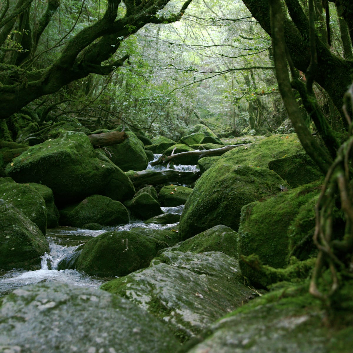 mentalfloss.com - Nitya Rao - 6 Real Places That Belong in a Studio Ghibli Film