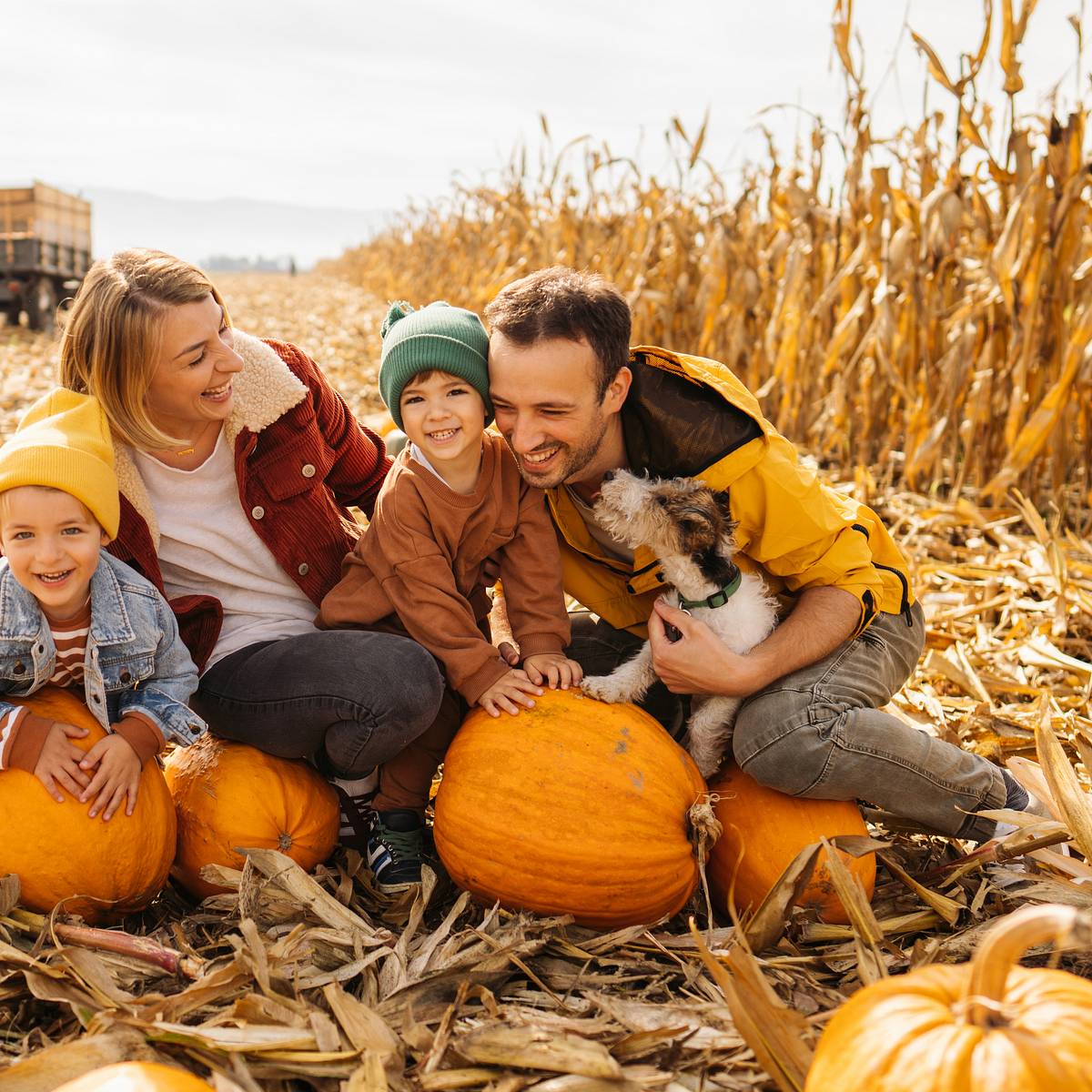 mentalfloss.com - Jenny Cohen - The Best Cities in America for Family Fall Activities, Ranked