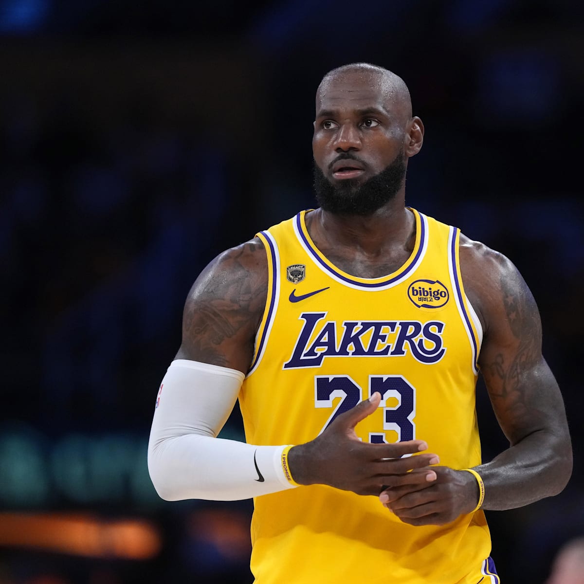 lakeshowlife.com - Maxwell Ogden - Lakers logistics have changed but LeBron's postseason reality remains the same