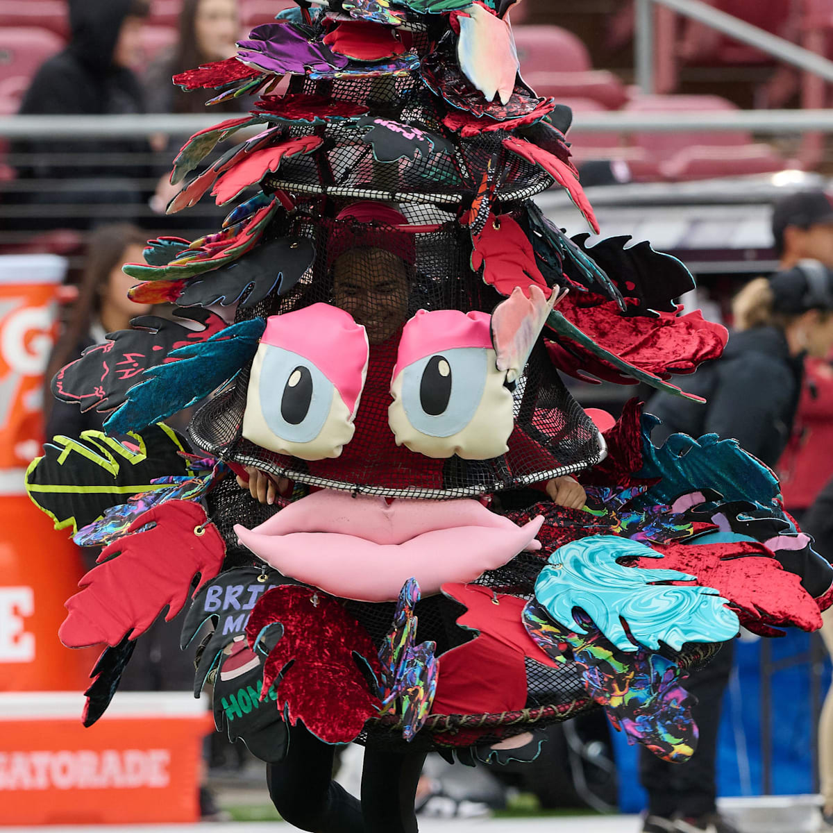 Ranking the Worst College Mascots, image size:1200x1200
