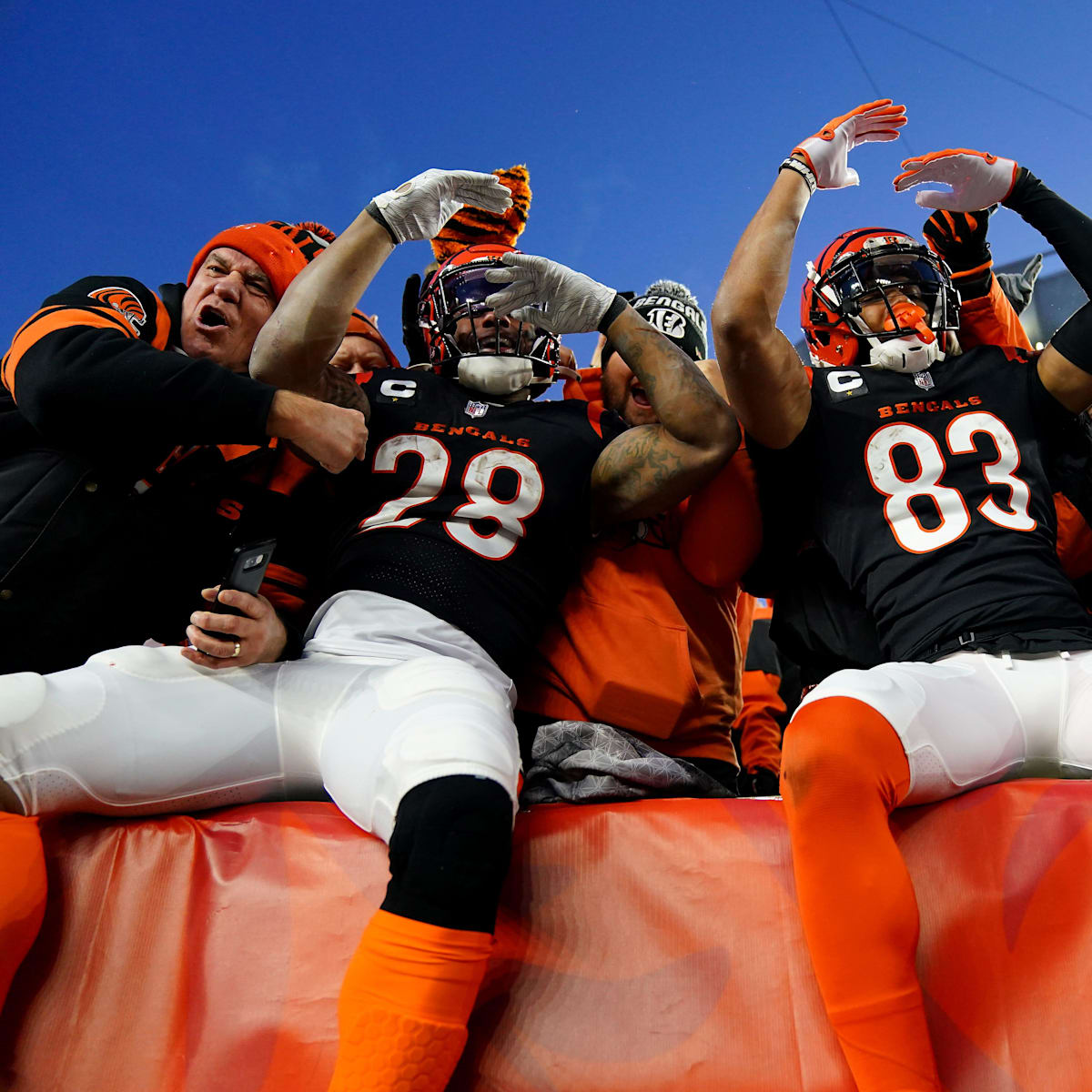 When Was the Last Time the Bengals Won the Super Bowl