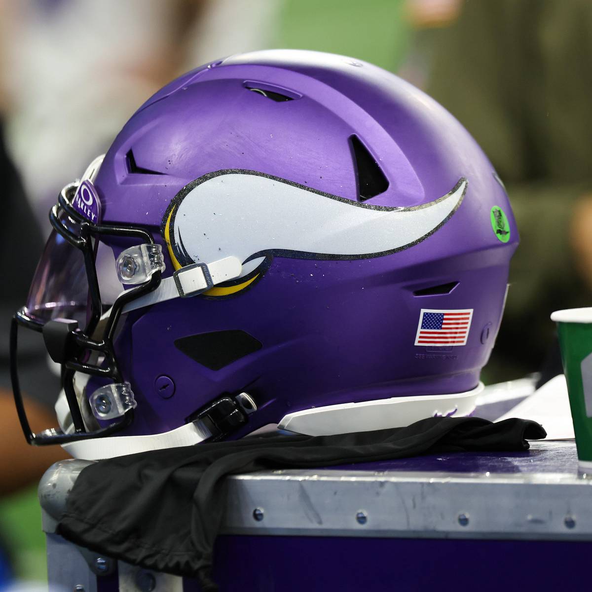 amazon minnesota viking motorcycle helmet Vikings NFL Riddell Speed Pocket PRO Micro/Pocket-Size/MINI Football : Sports & Outdoors The American Football Replica Display Helmet is a must Viking Medieval Helmet - Authentic