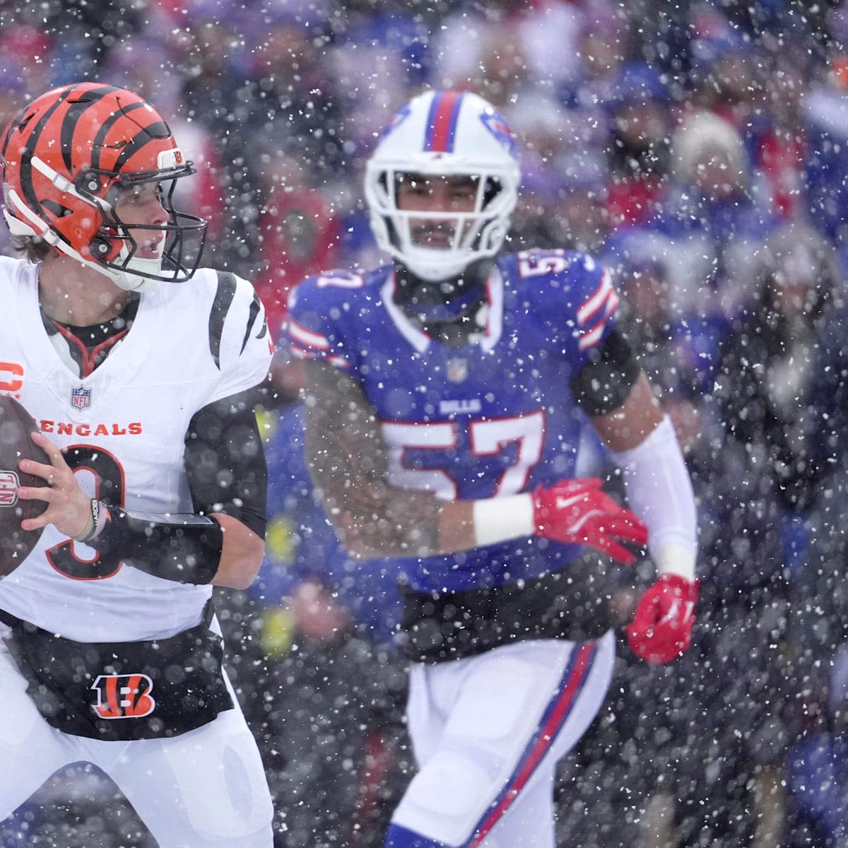 si.com - Landon Belote - Veteran Nearly Joined Division Rival, Now Perfect Fit for Bengals