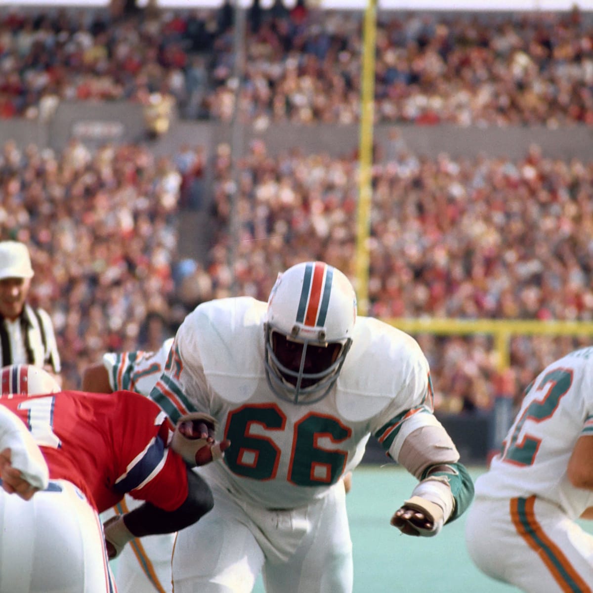 Number 66 and the Three Dolphins Who Wore It Best