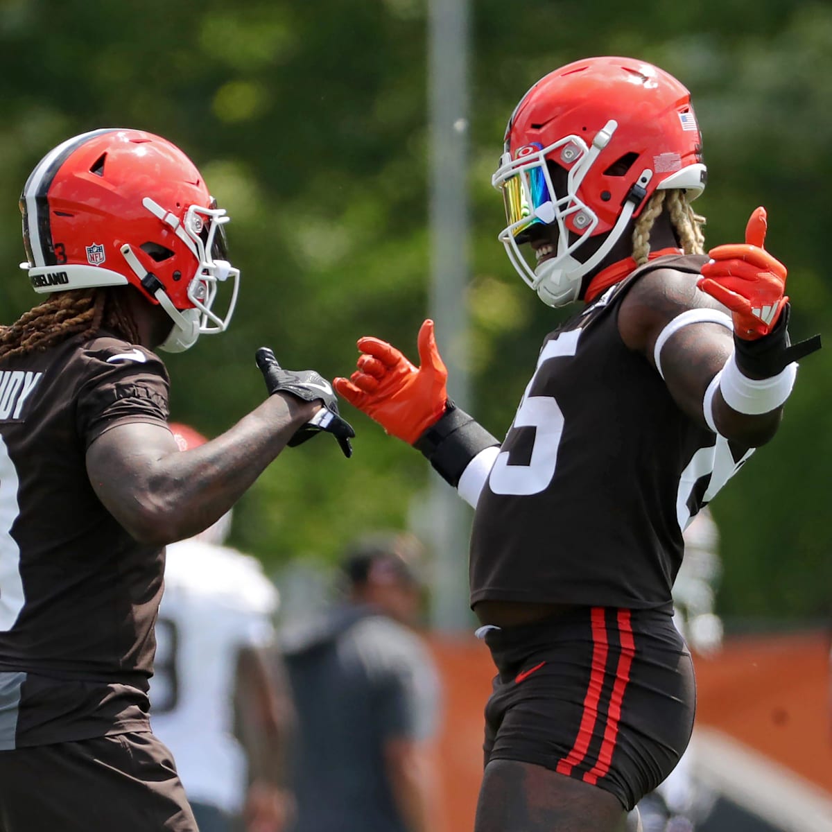 定価54000円　size L 試着のみ　JELADO × BROWNS JELADO オンラインショップ