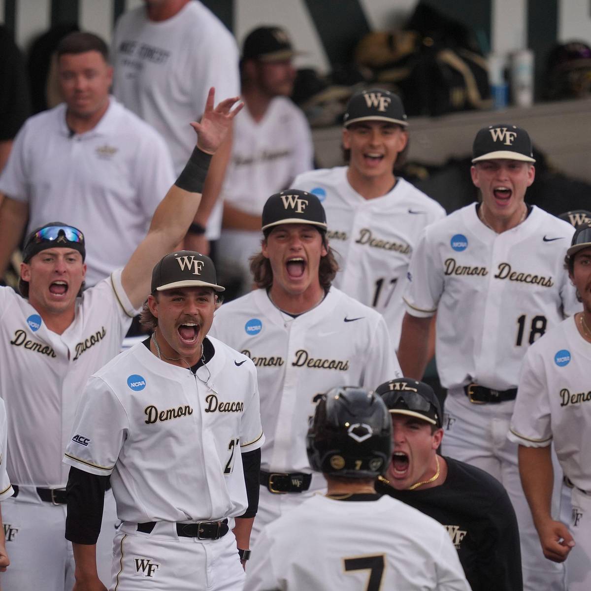 Bottom of the Wake Forest Lineup Delivers in Midweek Matchup vs 