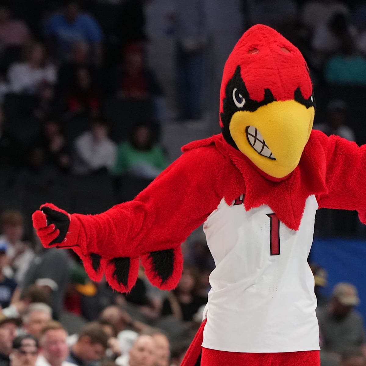 si.com - Matthew McGavic - Louisville Men's Basketball 2025-26 Transfer Tracker