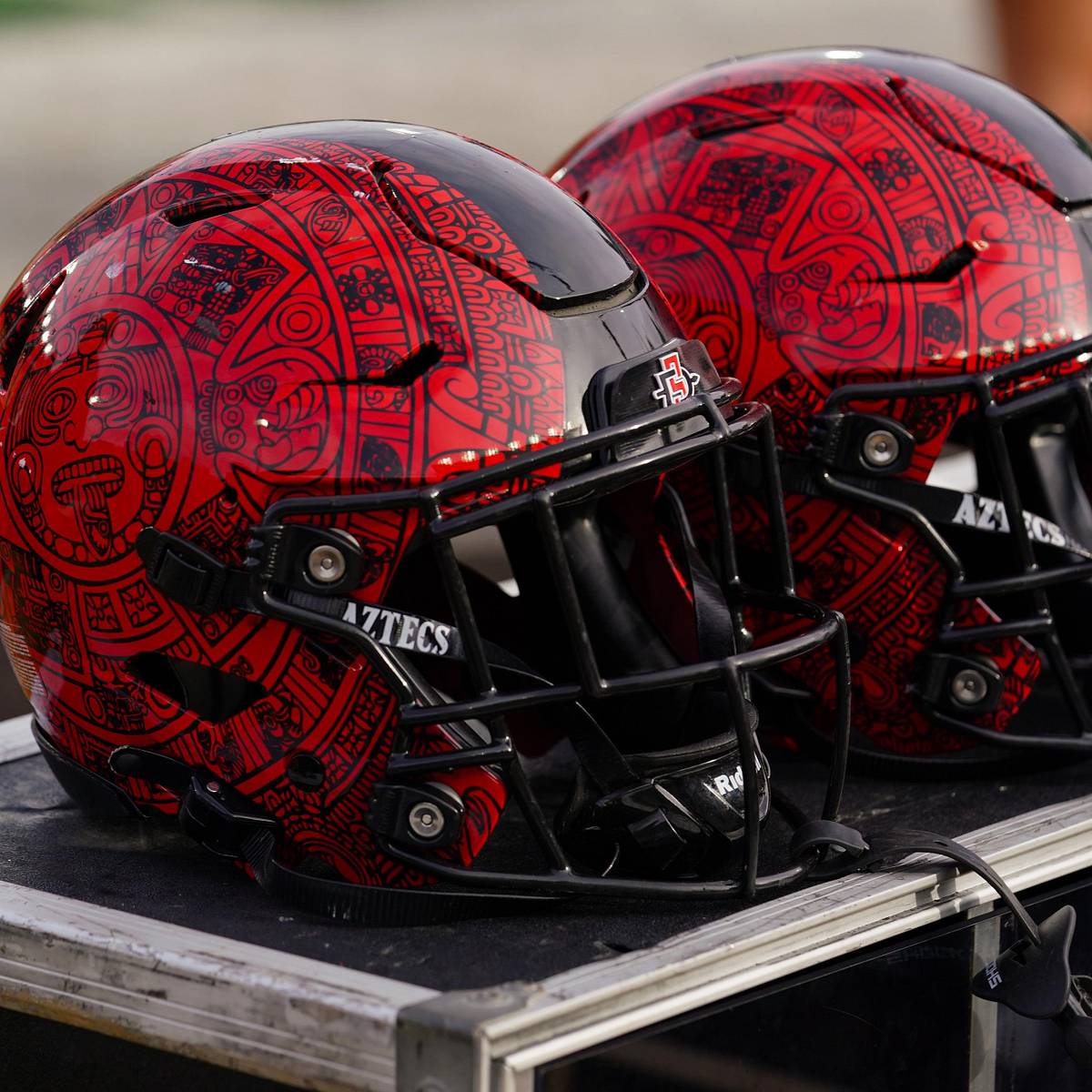 alien helmet motorcycle Motorcycle Helmet Cover - Alien