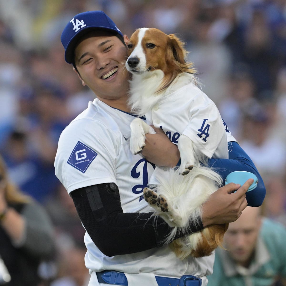 Shohei Ohtani's Dog Decoy May Have Helped Recruit Roki Sasaki to