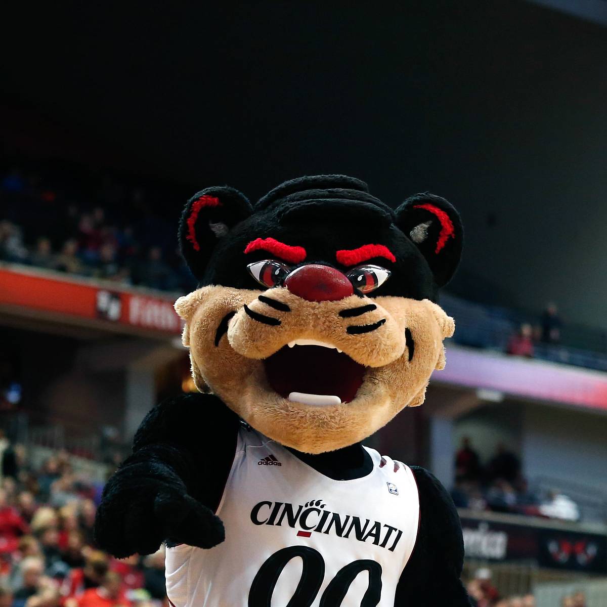 si.com - Russell Heltman - Bearcats Basketball 2026 Bahamas Exhibition Recap, Highlights: Calgary Dinos