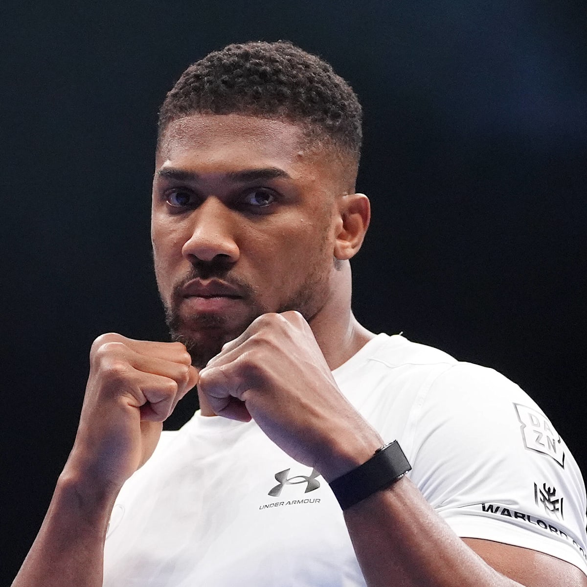 Anthony Joshua Net Worth