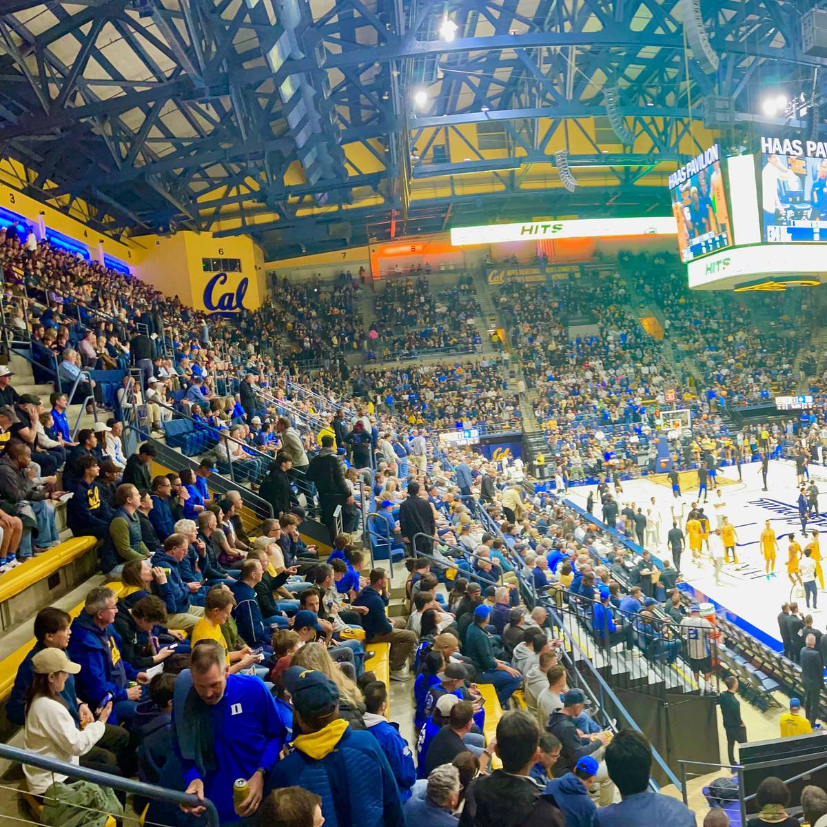 Image for No. Duke Pulls Away From Cal in Front of Haas Pavilion Sellout
