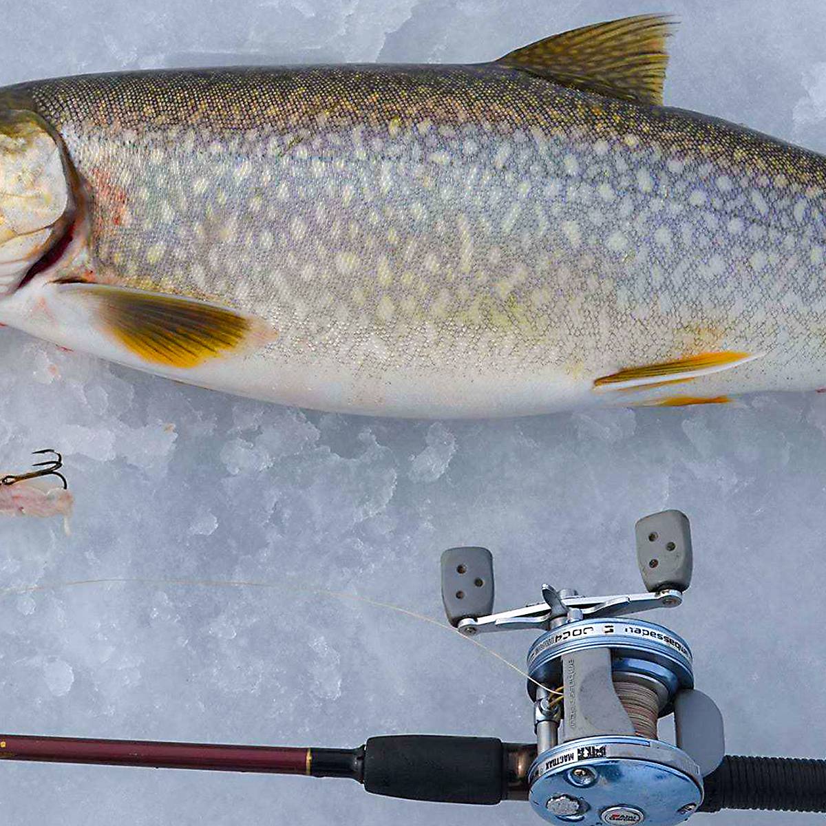 Ice Fishing for Lake Trout: Tips and Tactics to Catch Winter's Ultimate Trophy Fish Ice Fishing for Lake Trout: Tips and Tactics to Catch Winter's Ultimate Trophy Fish