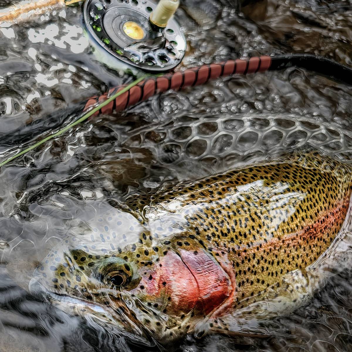 g loomis e6x spinning rod 7'1 med hvy 853s jwr Inshore Rods Crystal River Model CR-4/5F Barbless Rigs The Rod features a Color:Blue Shad-Gold Blade